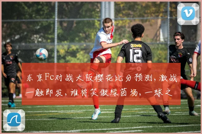 东京Fc对战大阪樱花比分预测,激战一触即发,谁将笑傲绿茵场,一球之差定胜负