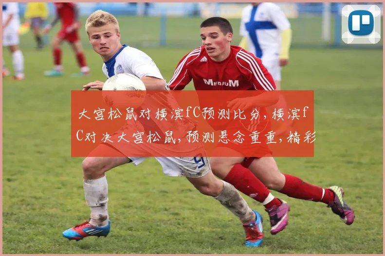 大宫松鼠对横滨fC预测比分,横滨fC对决大宫松鼠,预测悬念重重,精彩不容错过,一触即发
